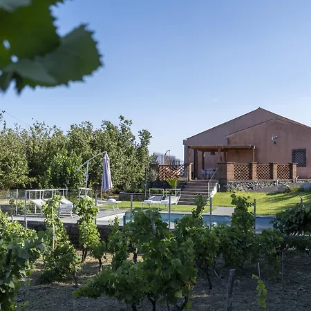 Vigne Dell'etna * Mascali